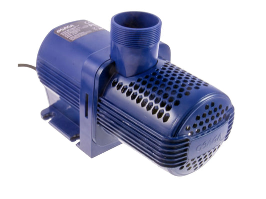 Osaga Blaue Bella III